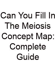 Can You Fill In The Meiosis Concept Map: Complete Guide