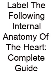 Label The Following Internal Anatomy Of The Heart: Complete Guide