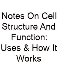 Notes On Cell Structure And Function: Uses & How It Works